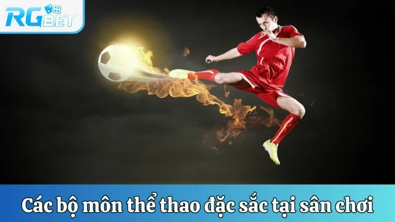 Các bộ môn thể thao đặc sắc tại sân chơi