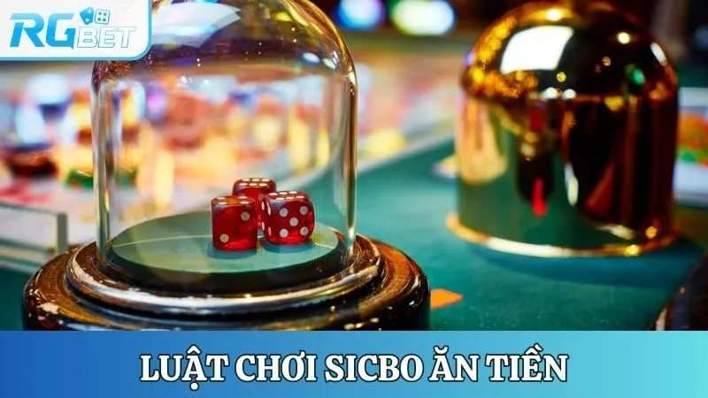 Chỉ dẫn thành viên cách vận hành của Sicbo ăn tiền
