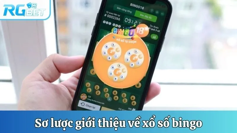 Sơ lược giới thiệu về xổ số Bingo
